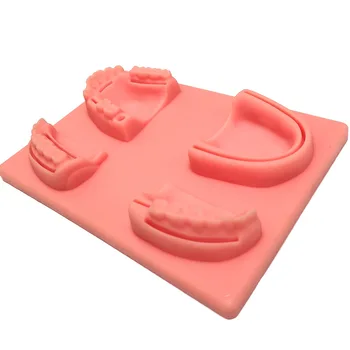 Dantų Burnos/Guma siuvimo mokymo modulis silikono periodontitis siuvimo modelis