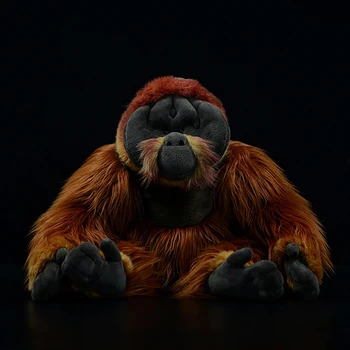Tikroviška Ilgai-plaukų Orangutan Įdaryti Gyvūnams, Žaislai, Minkšti Realiame Gyvenime Pongo Beždžionė Pliušiniai Žaislai Vaikams, Suaugusiųjų Dovanos