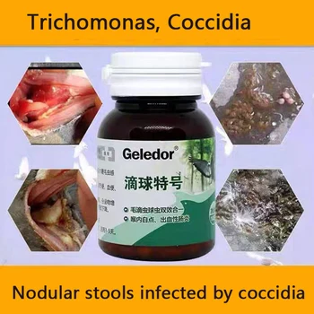 Trichomonas balandžių coccidia du-in-one infekcija ketaus kėdė virškinimo sutrikimai 100 tablečių